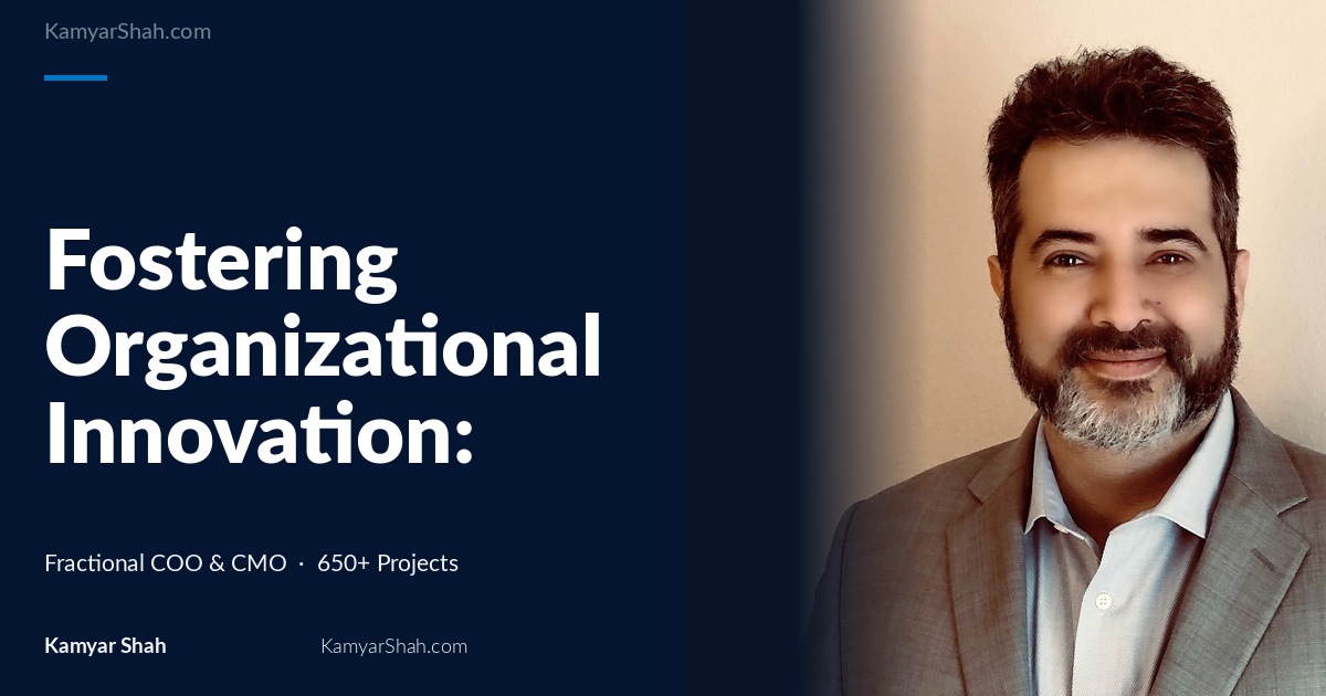 Fostering Organizational Innovation: Strategies for Startups, Medical, Technology, and eCommerce Sectors