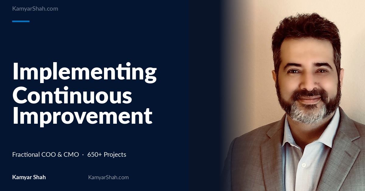 Implementing Continuous Improvement Methodologies in Medical, Technology, eCommerce, and Startup Sectors Strategies for Enhanced Efficiency