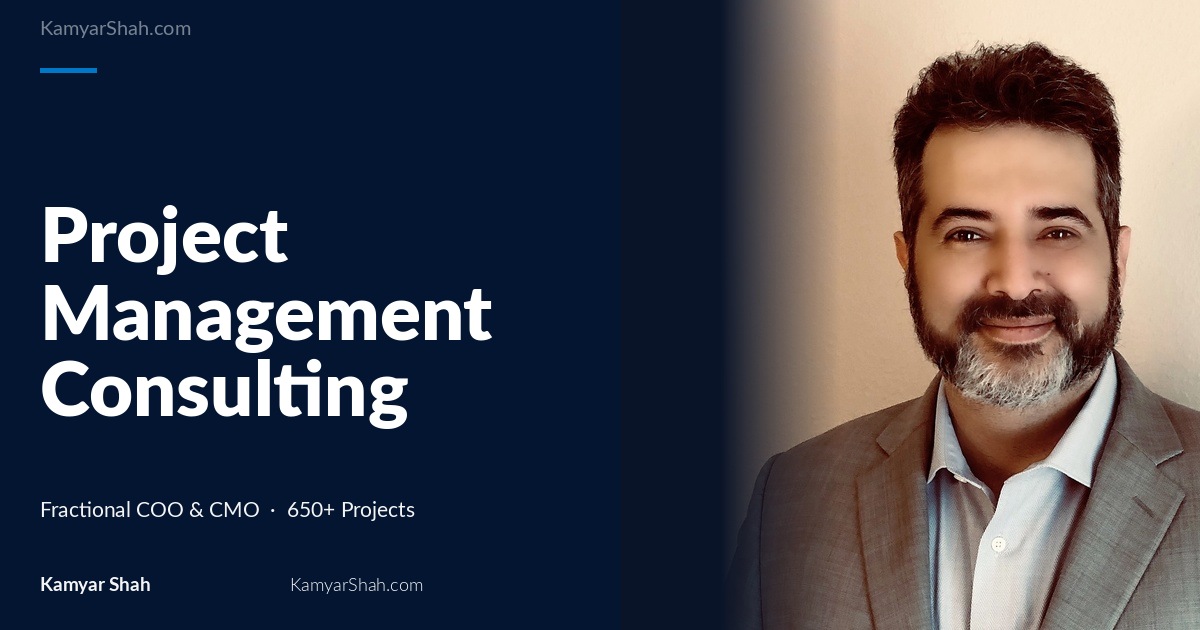 Project Management Consulting