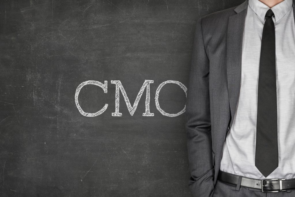 Hire an interim cmo