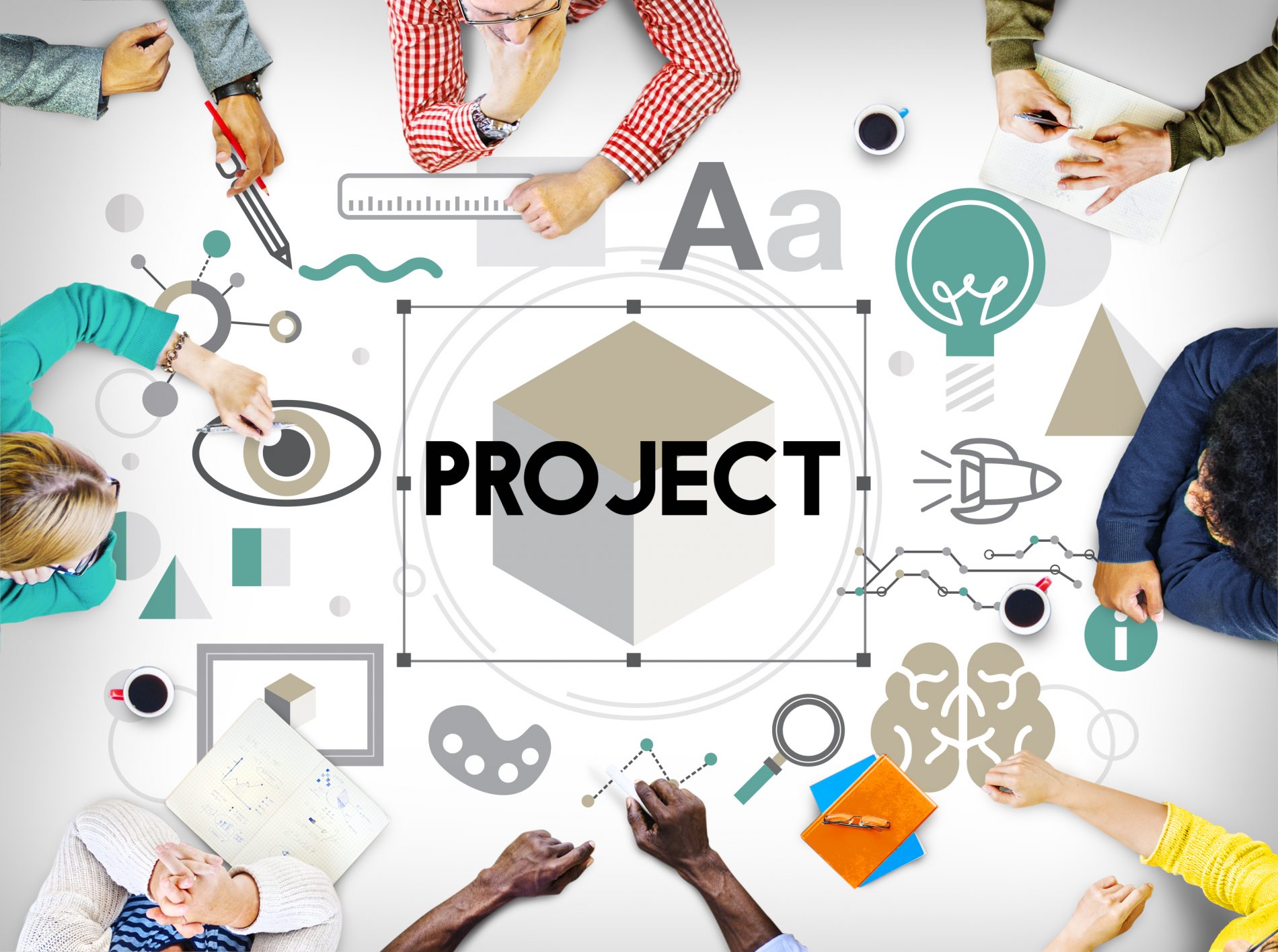 Project Management Professional