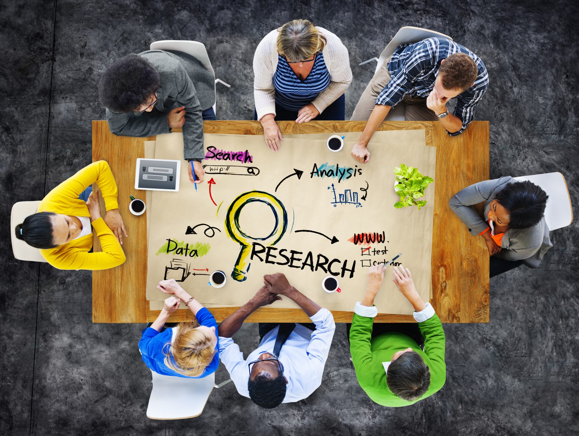 research and gather information on partnerships