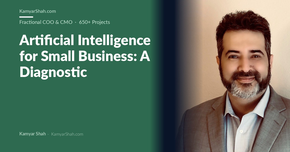 Artificial Intelligence for Small Business: A Diagnostic