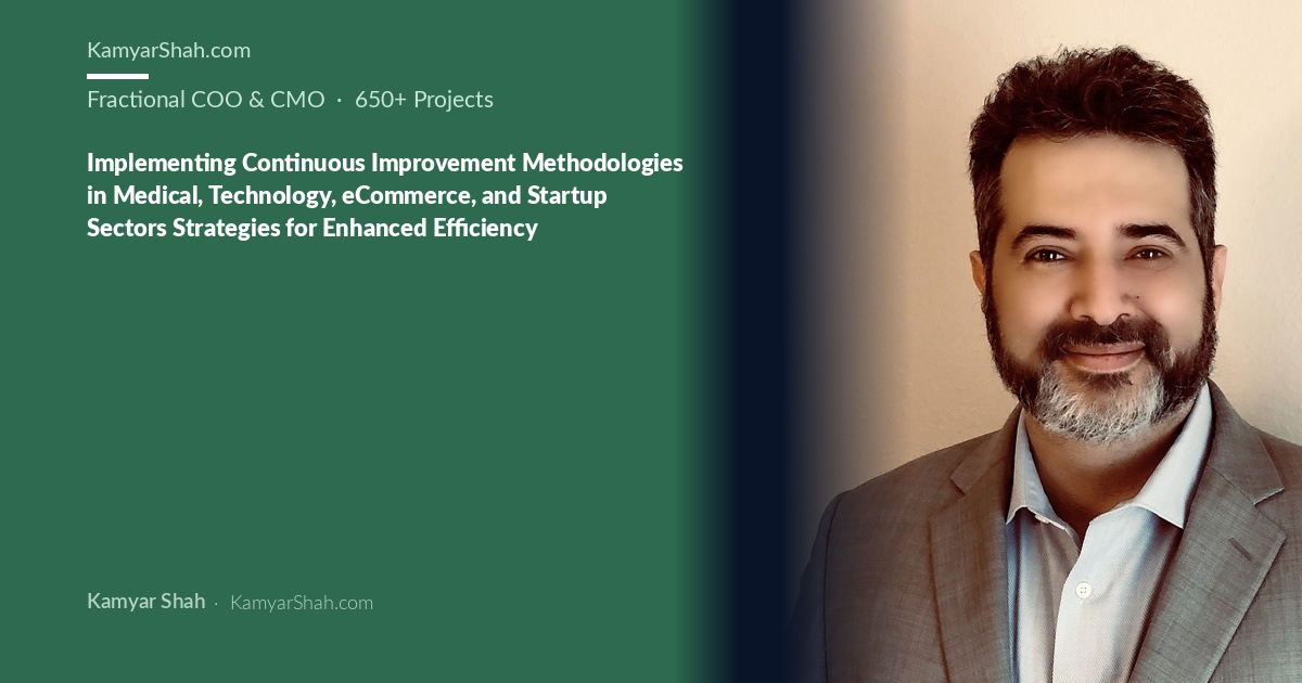 Implementing Continuous Improvement Methodologies in Medical, Technology, eCommerce, and Startup Sectors Strategies for Enhanced Efficiency